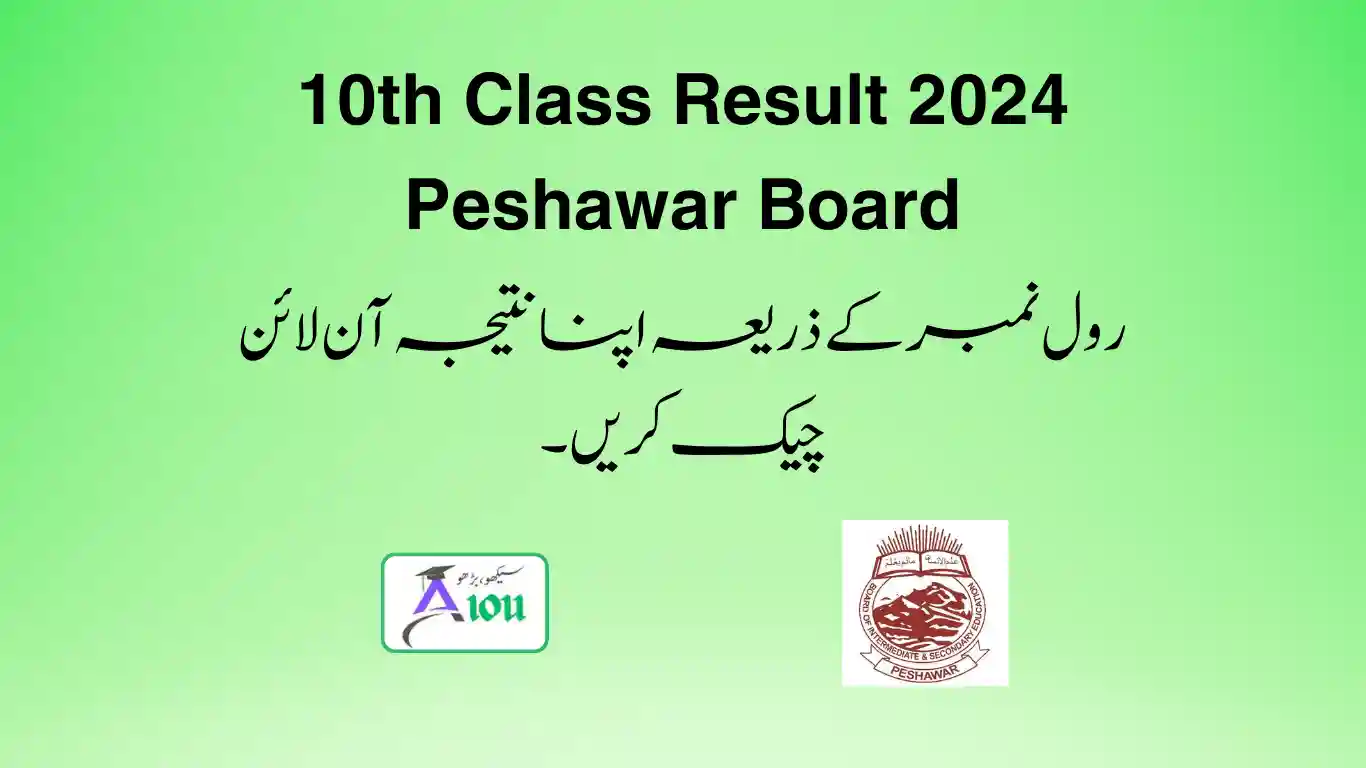 10th Class Result 2024 Peshawar Board